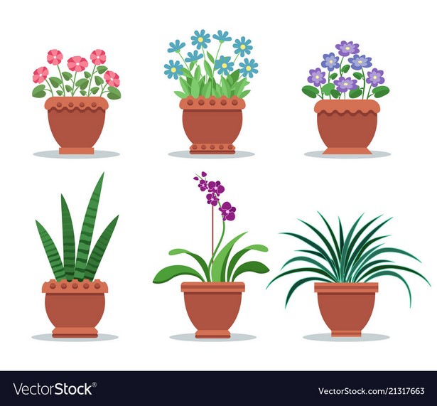pots-design-plants-50_15 Саксии дизайн растения