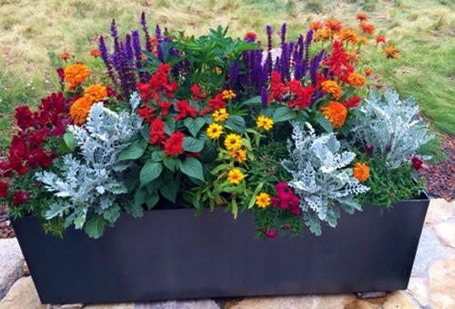 potted-flower-arrangements-outdoors-06 Саксийни цветни аранжировки на открито