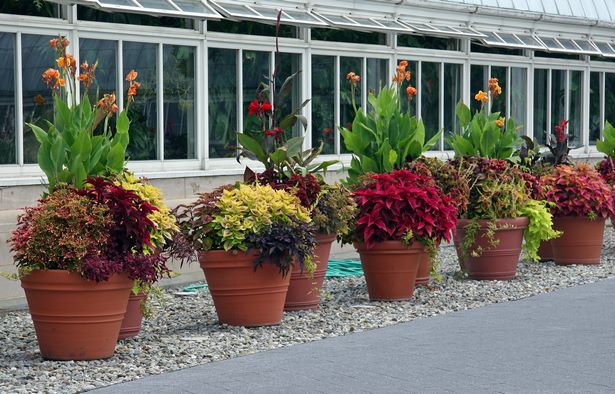 potted-flower-arrangements-outdoors-06_2 Саксийни цветни аранжировки на открито