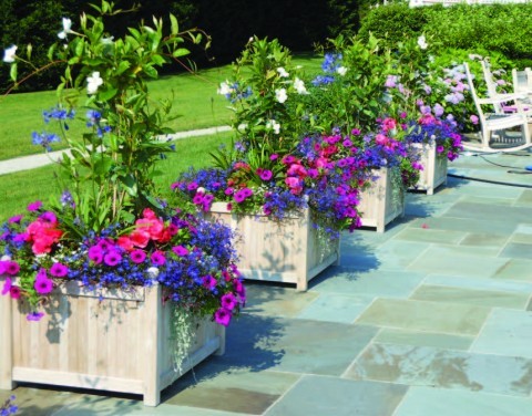potted-flower-arrangements-outdoors-06_5 Саксийни цветни аранжировки на открито