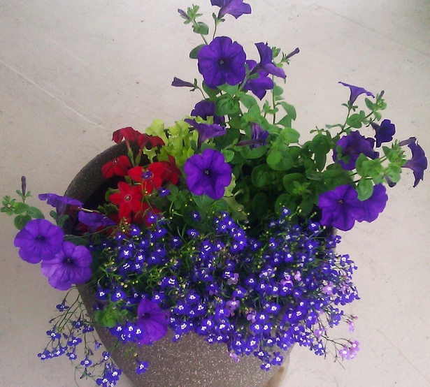 potted-flower-centerpieces-ideas-26_9 Саксийни цветя Идеи