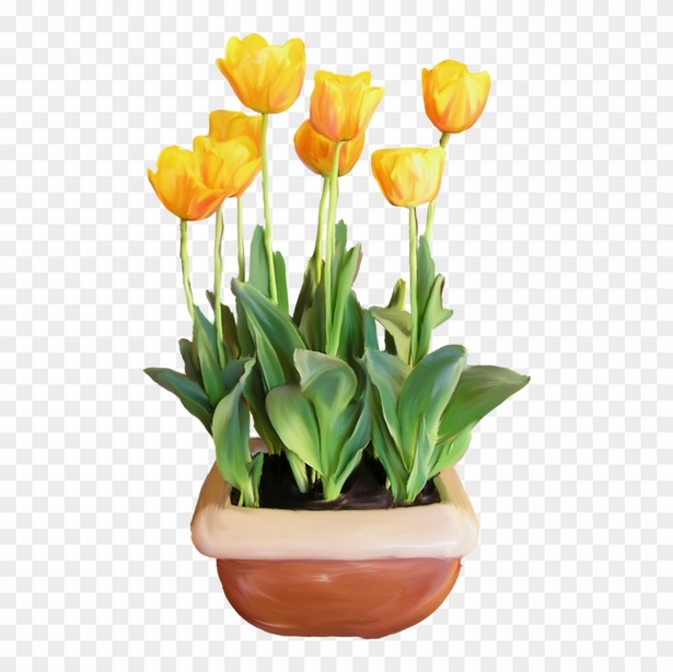 potted-flowers-55 Саксийни цветя