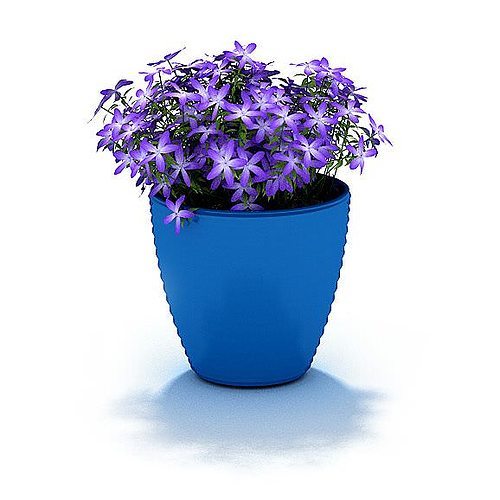 potted-flowers-55_2 Саксийни цветя