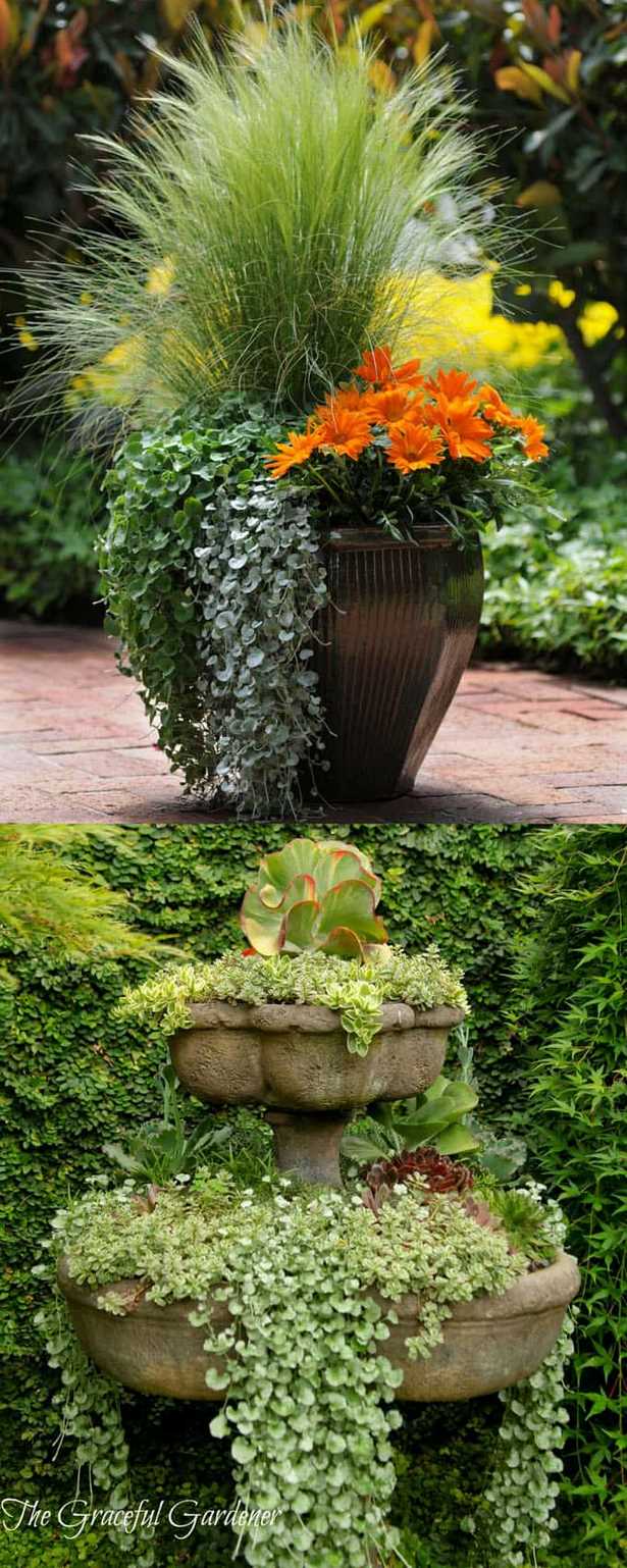 potted-garden-design-47_10 Саксийни градински дизайн
