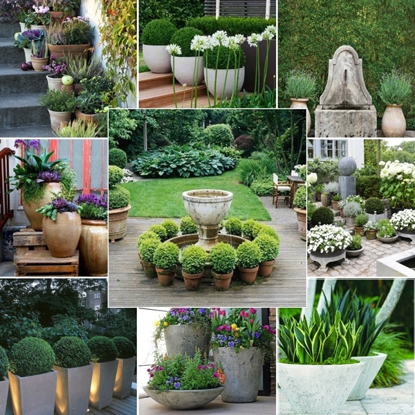 potted-garden-design-47_3 Саксийни градински дизайн
