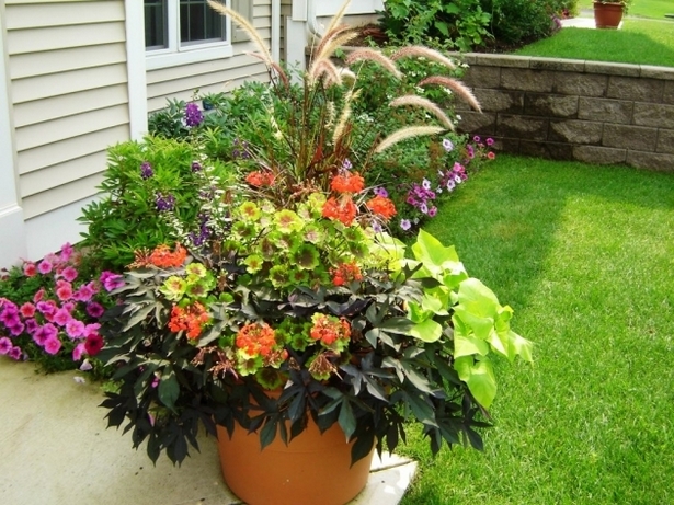potted-plant-arrangements-full-sun-64_15 Саксийни растения аранжировки пълно слънце