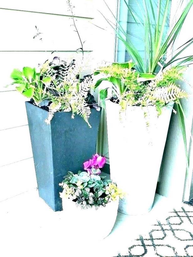 potted-plant-arrangements-full-sun-64_20 Саксийни растения аранжировки пълно слънце