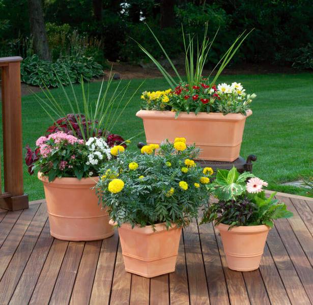 potted-plant-ideas-for-deck-64 Саксийни растителни идеи за палуба