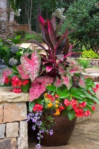 potted-plants-and-flowers-ideas-67_3 Саксийни растения и цветя Идеи