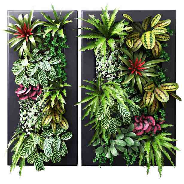potted-plants-outdoor-decorating-04 Саксийни растения външно декориране
