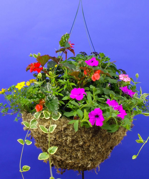 potted-plants-outdoor-decorating-04_15 Саксийни растения външно декориране