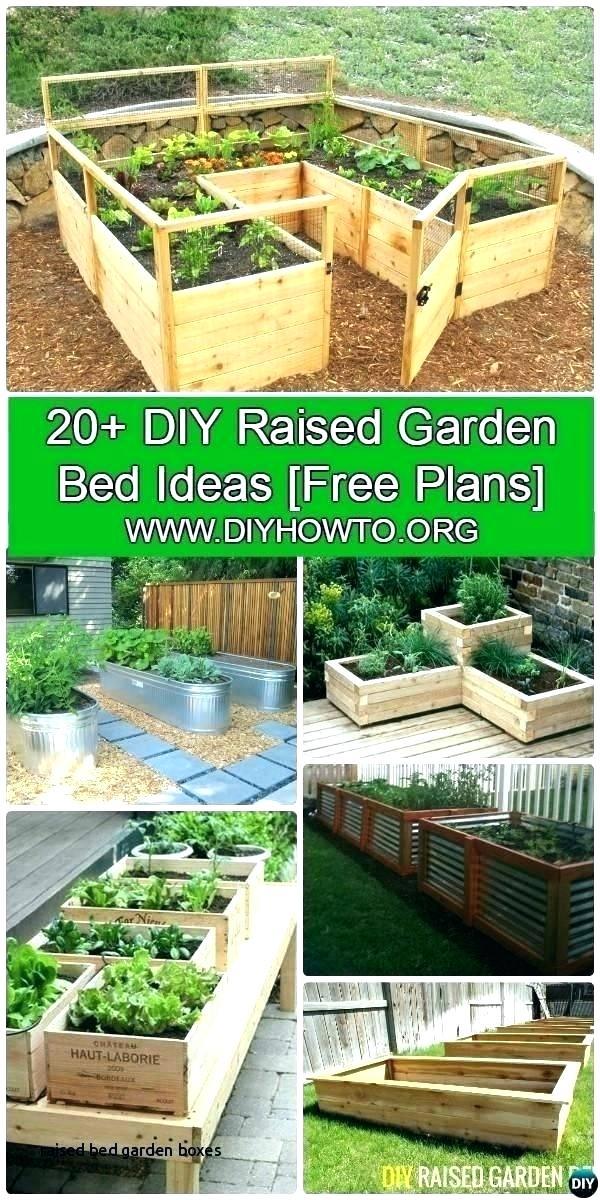 raised-bed-garden-boxes-65_13 Повдигнати легло градински кутии