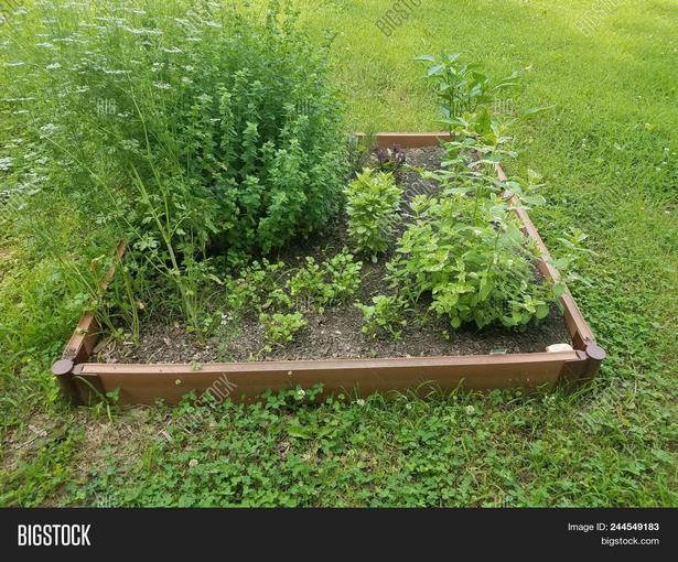 raised-bed-herb-garden-81_15 Повдигнати легло билка градина
