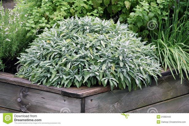 raised-bed-herb-garden-81_17 Повдигнати легло билка градина