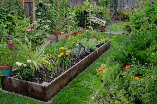 raised-bed-herb-garden-81_8 Повдигнати легло билка градина