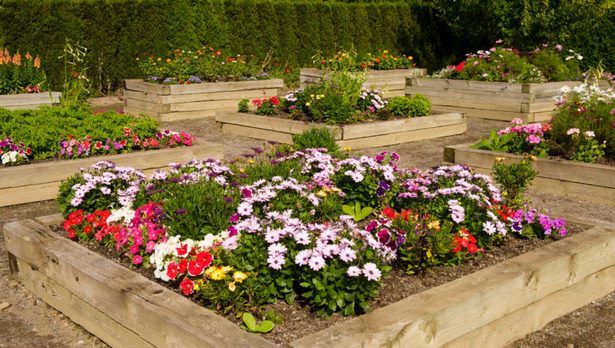 raised-flower-garden-beds-87_4 Повдигнати цветни градински лехи