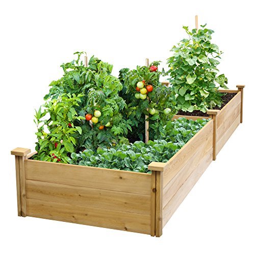 raised-garden-bed-containers-55_13 Повдигнати градински легла контейнери
