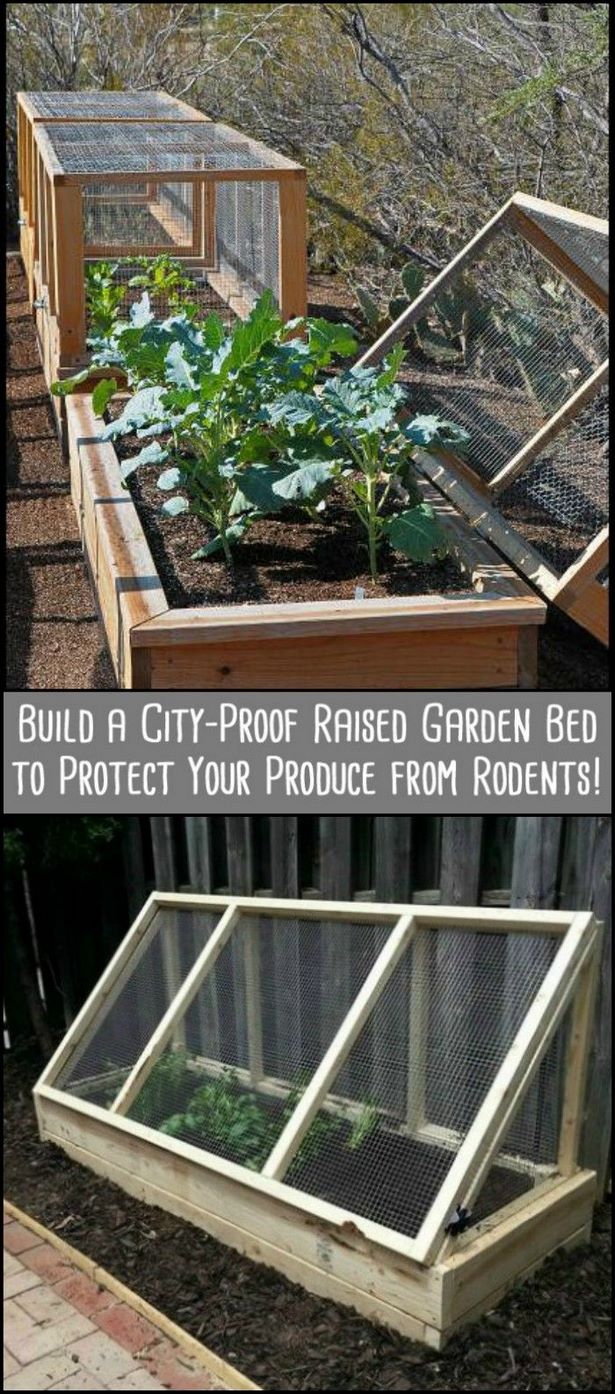 raised-garden-bed-frame-ideas-35_10 Повдигнати идеи за градинско легло