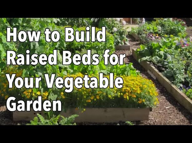 raised-garden-bed-gardening-94_10 Повдигнато градинско легло градинарство