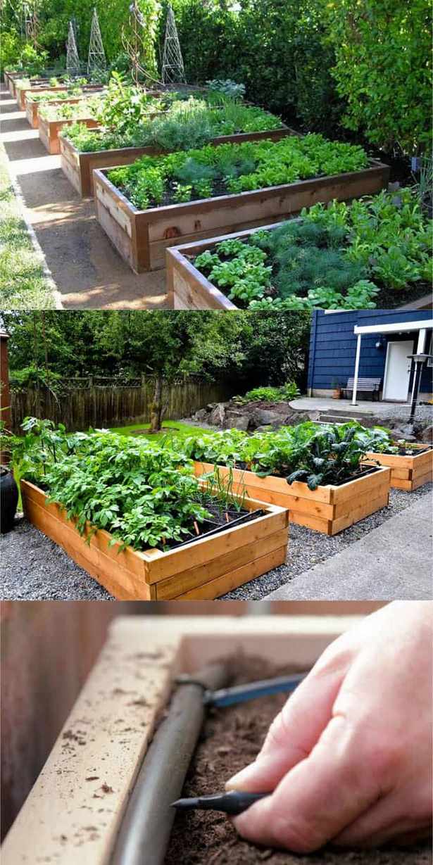 raised-garden-bed-gardening-94_6 Повдигнато градинско легло градинарство