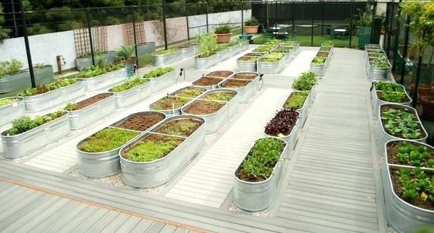 raised-garden-bed-ideas-vegetables-98_12 Повдигнати градински легло идеи зеленчуци