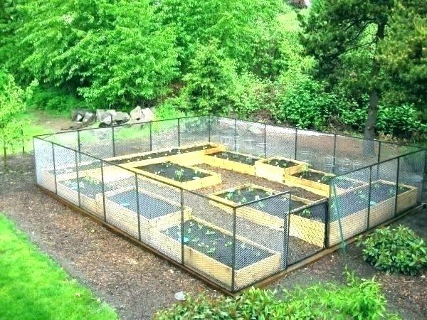 raised-garden-bed-ideas-vegetables-98_17 Повдигнати градински легло идеи зеленчуци