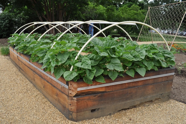 raised-garden-bed-ideas-vegetables-98_19 Повдигнати градински легло идеи зеленчуци