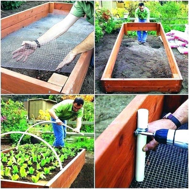raised-garden-bed-ideas-vegetables-98_4 Повдигнати градински легло идеи зеленчуци