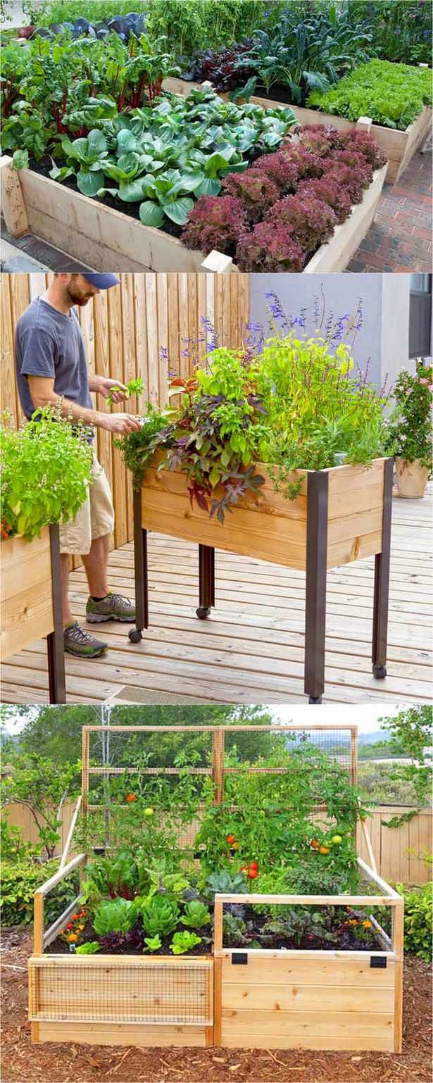 raised-garden-bed-ideas-vegetables-98_8 Повдигнати градински легло идеи зеленчуци