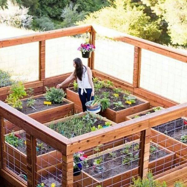 raised-garden-bed-planting-ideas-87_15 Повдигнати идеи за засаждане на градински легла