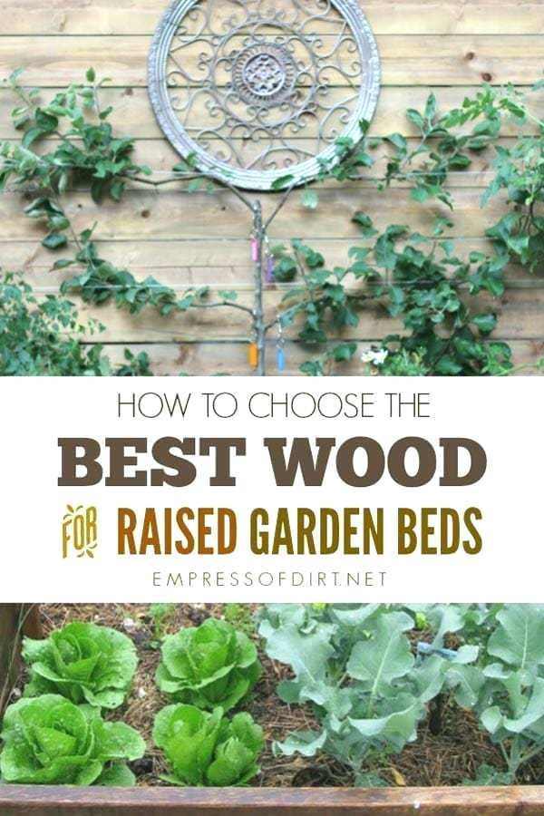 raised-up-garden-beds-15_10 Повдигнати градински легла