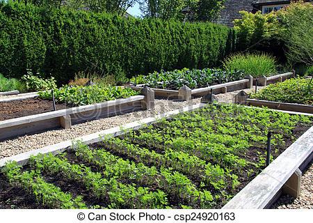 raised-vegetable-garden-boxes-24_13 Повдигнати зеленчукови градински кутии