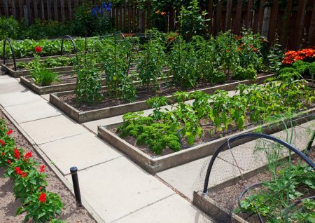 raised-vegetable-garden-boxes-24_9 Повдигнати зеленчукови градински кутии
