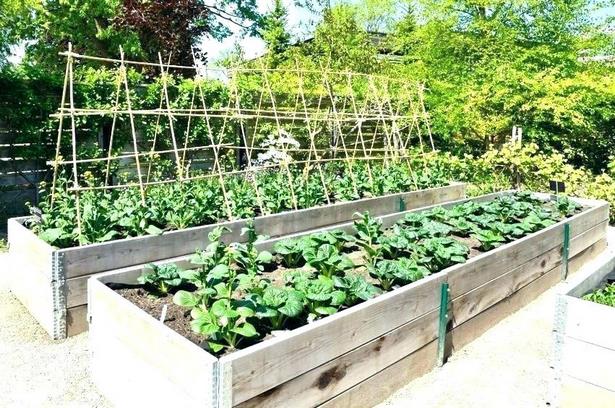 raised-vegetable-garden-kit-48_9 Повдигнат зеленчукова градина комплект