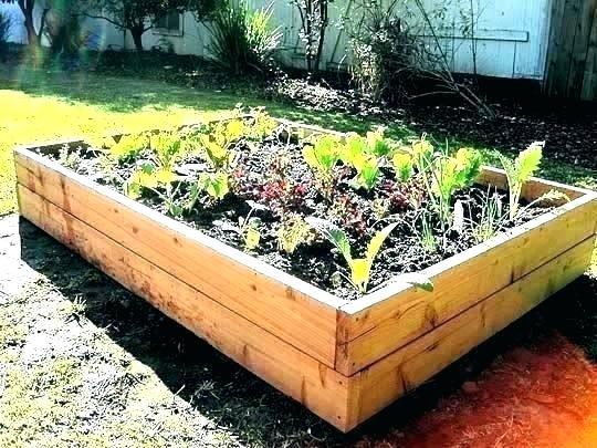raised-vegetable-planter-boxes-16_6 Повдигнати зеленчукови плантаторски кутии