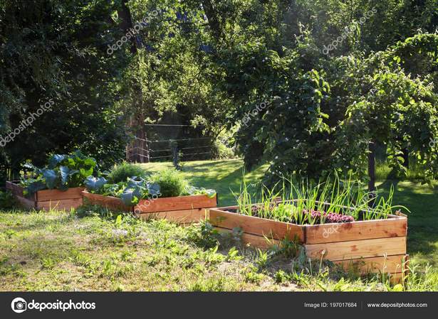 raised-wooden-vegetable-planters-35_13 Повдигнати дървени зеленчукови плантатори