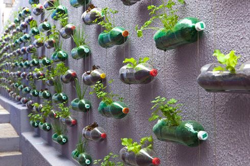 recycled-planters-22_11 Рециклирани Сеялки