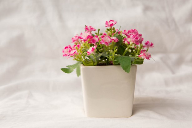 small-flower-pot-arrangements-52_16 Малки саксии за цветя