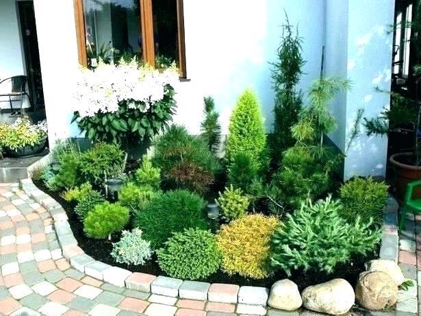 small-front-garden-landscaping-30_5 Малка предна градина озеленяване