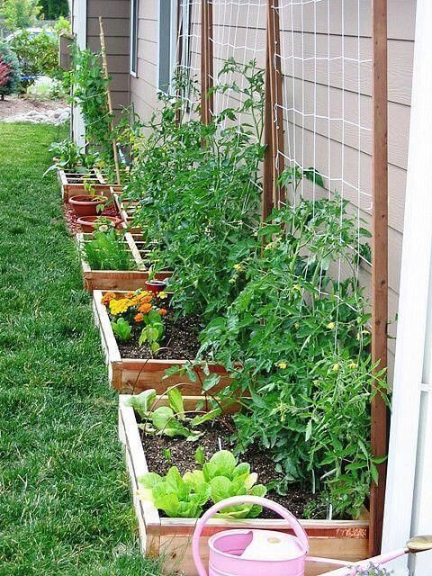 small-raised-bed-vegetable-garden-ideas-86_2 Малки повдигнати легло зеленчукова градина идеи