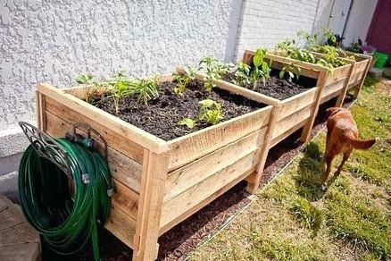 small-raised-garden-bed-62_20 Малко повдигнато градинско легло