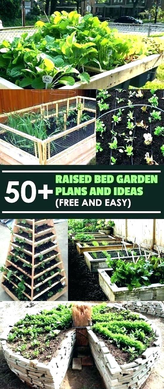 small-raised-garden-bed-62_5 Малко повдигнато градинско легло