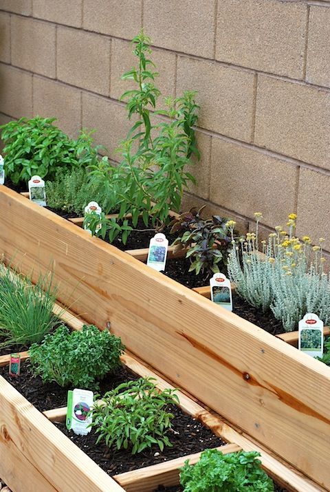 small-raised-garden-ideas-62_6 Малки повдигнати градински идеи