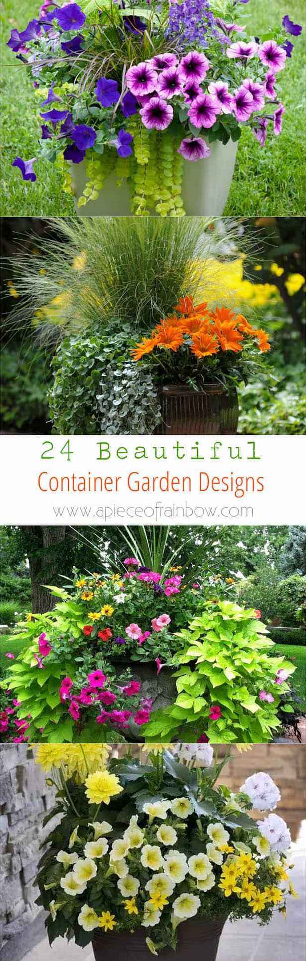stunning-container-gardens-40_6 Зашеметяващи контейнерни градини