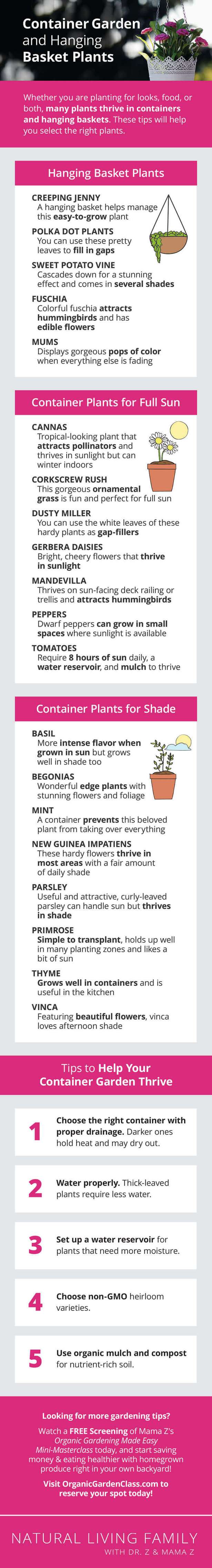 stunning-container-plants-80_8 Зашеметяващи контейнерни растения