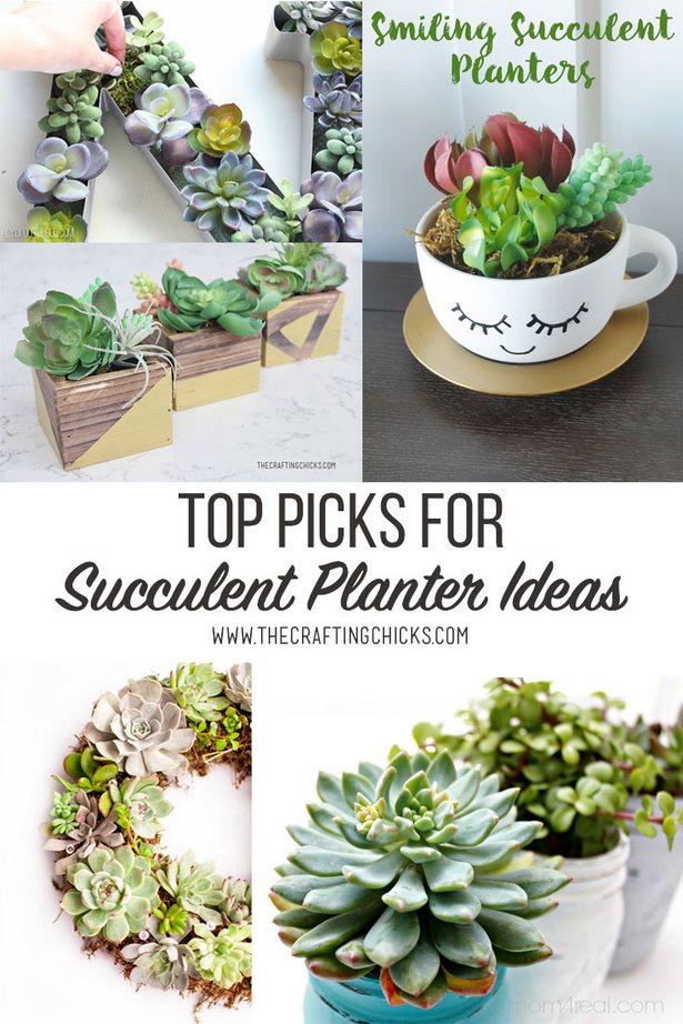 succulent-planter-ideas-95_10 Сочен плантатор идеи