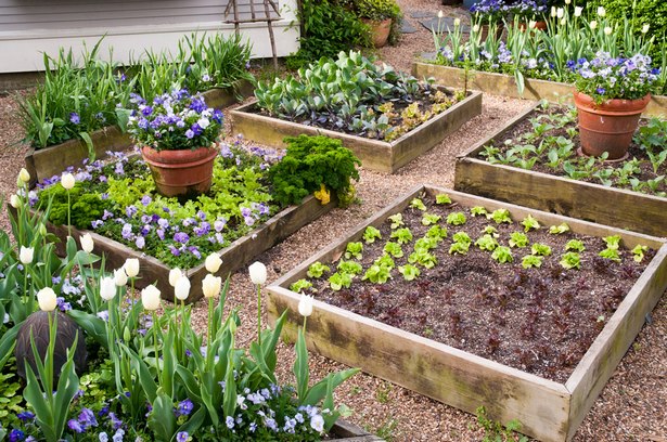 the-best-raised-garden-beds-69_15 Най-добре издигнатите градински легла