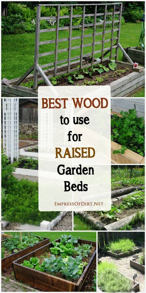 the-best-raised-garden-beds-69_3 Най-добре издигнатите градински легла