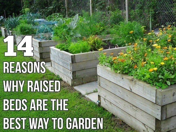 the-best-raised-garden-beds-69_6 Най-добре издигнатите градински легла