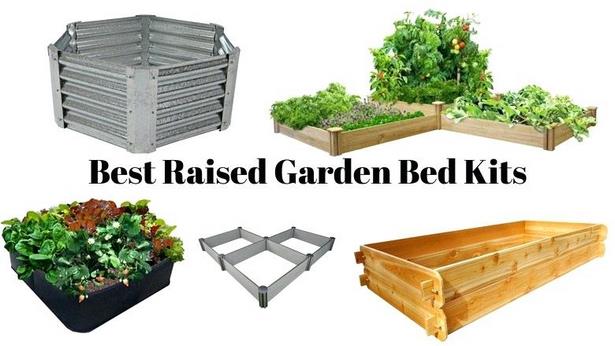 the-best-raised-garden-beds-69_9 Най-добре издигнатите градински легла